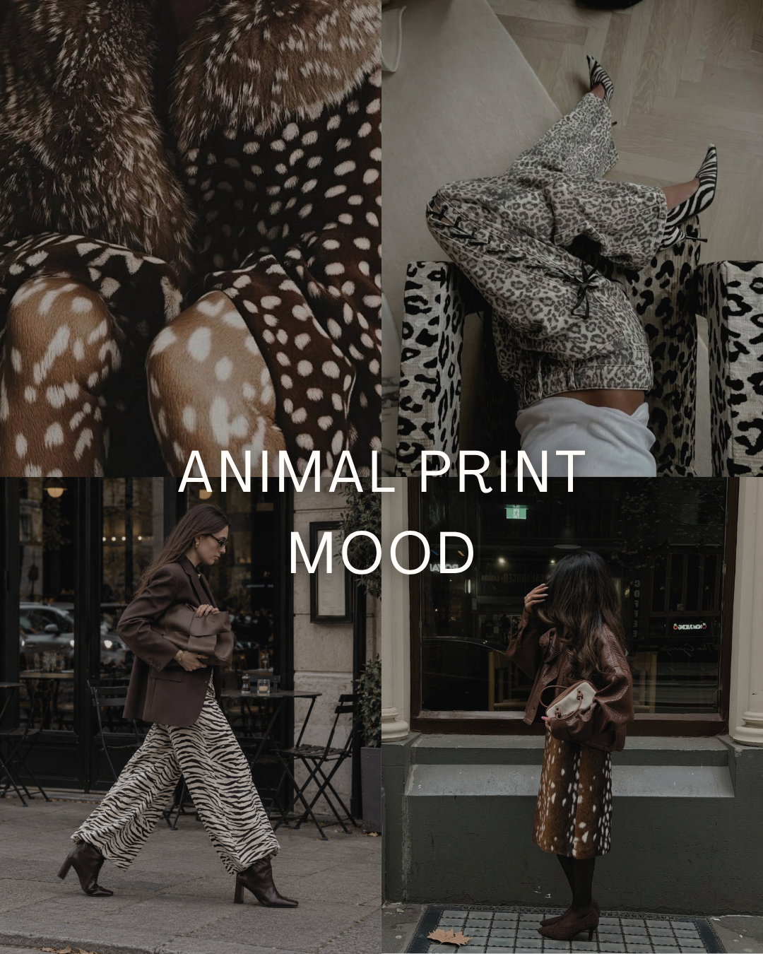 ANIMAL PRINT MOOD